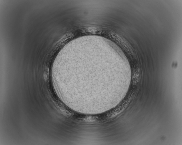 X0000097630656200803281101
