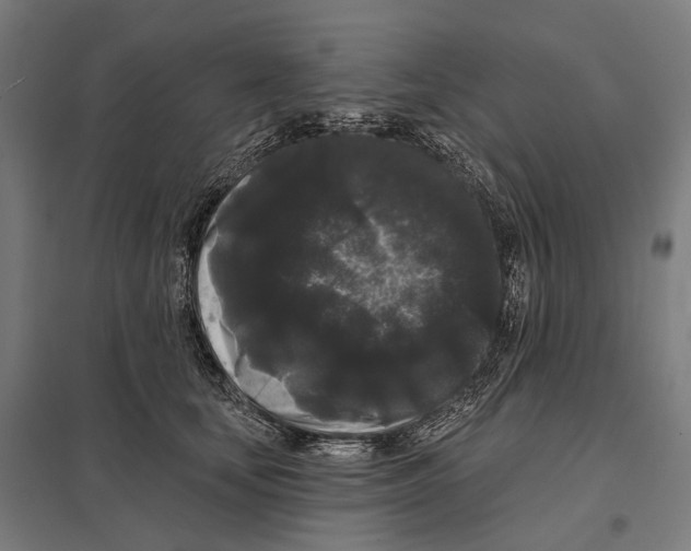 X0000097630659200803281101