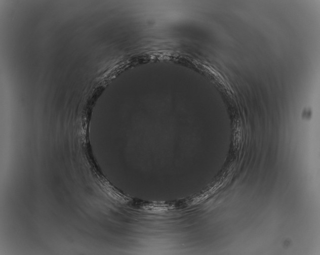 X0000097630661200803281101