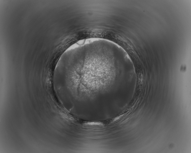X0000097630663200803281101