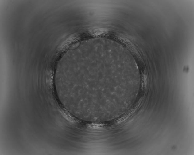 X0000097630664200803281101