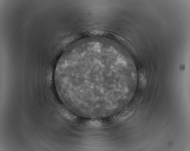 X0000097630668200803281102