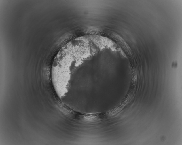 X0000097630669200803281102