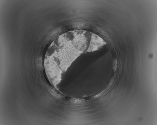 X0000097630670200803281102