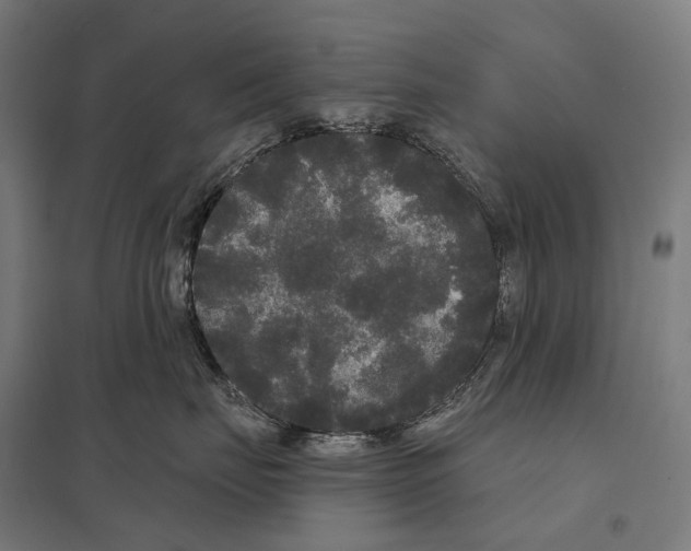 X0000097630671200803281102