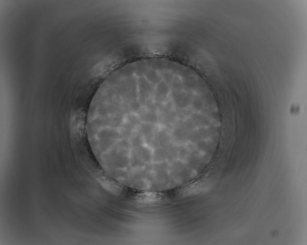 X0000097630672200803281102