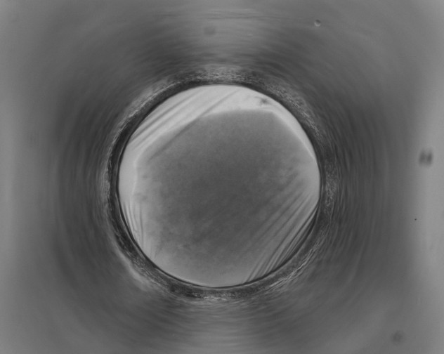 X0000097630674200803281101