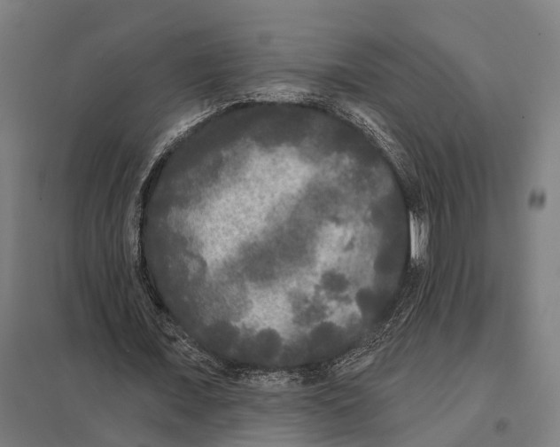 X0000097630675200803281101