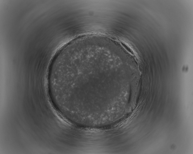 X0000097630677200803281101