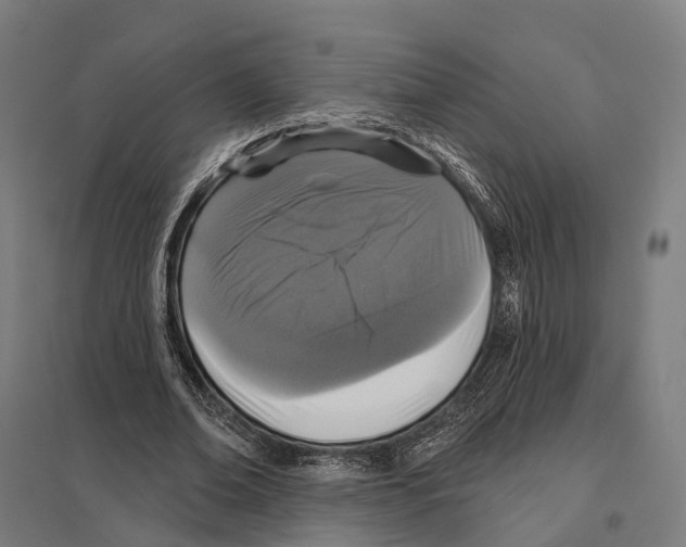 X0000097630678200803281101