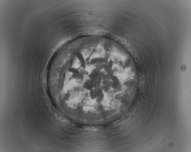 X0000097630679200803281101