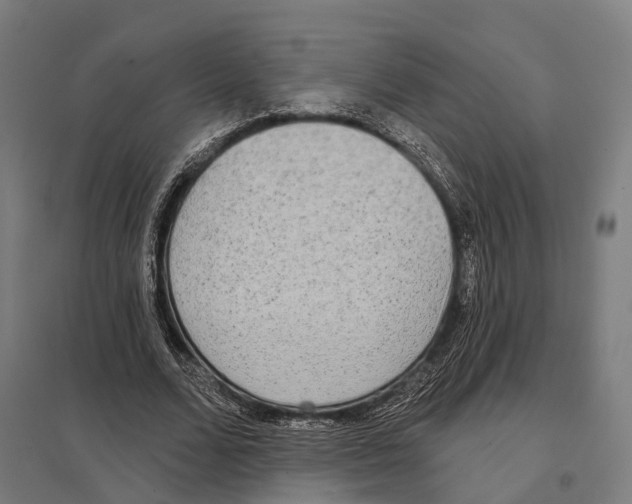 X0000097630680200803281101