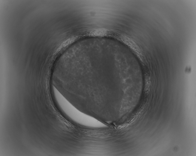 X0000097630681200803281101