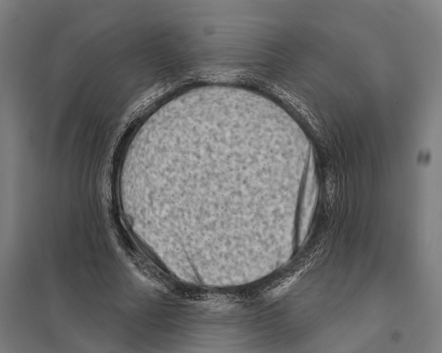 X0000097630682200803281101