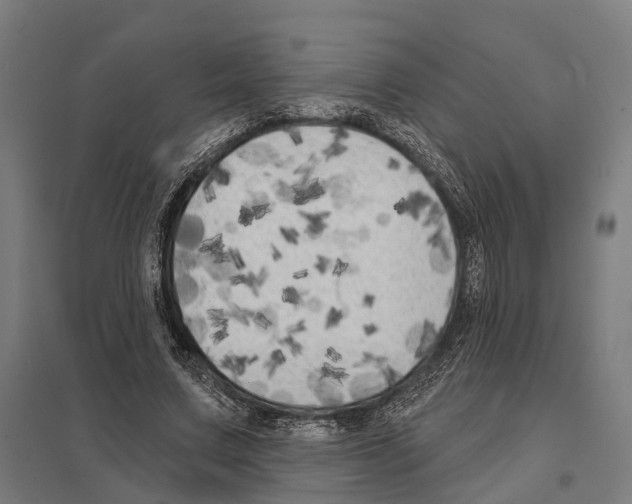 X0000097630683200803281101