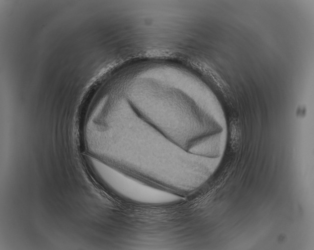 X0000097630684200803281101