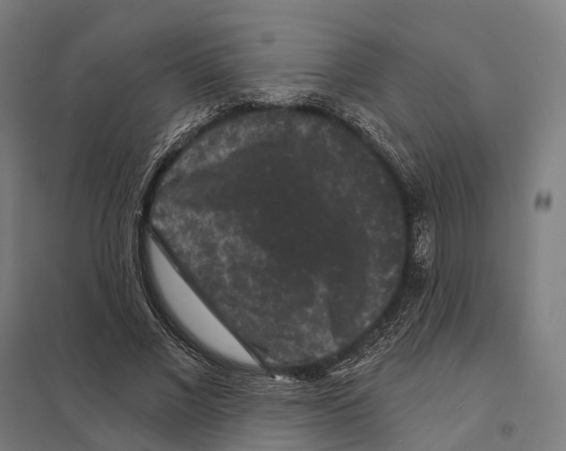 X0000097630685200803281101
