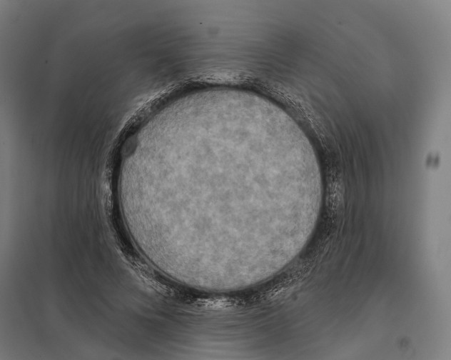 X0000097630688200803281101