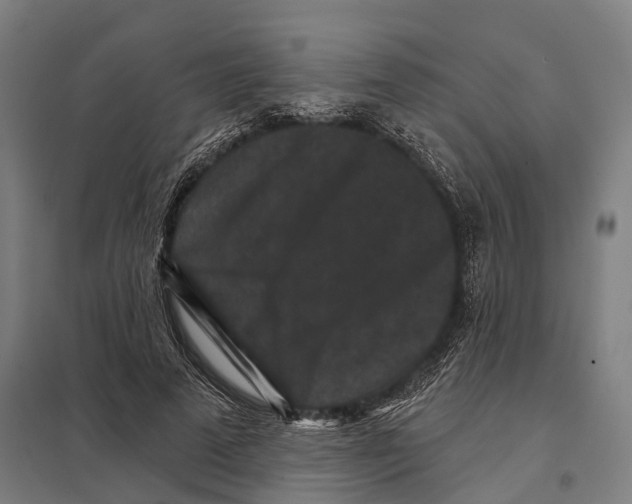 X0000097630689200803281101