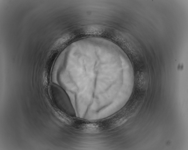 X0000097630692200803281100