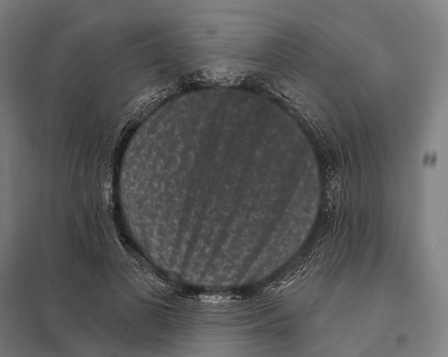 X0000097630693200803281100