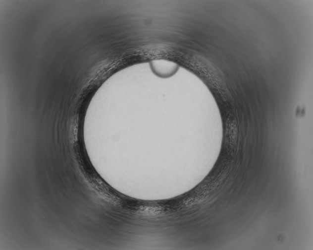 X0000097630694200803281100