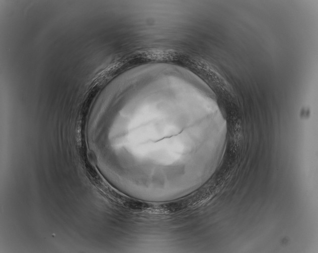 X0000097630696200803281100