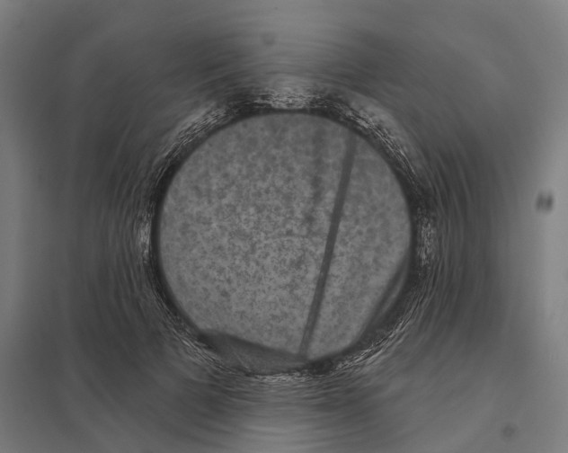 X0000097630697200803281100