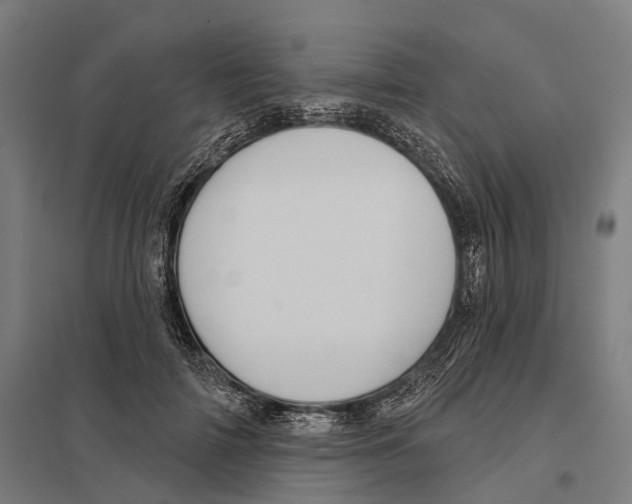 X0000097630698200803281100
