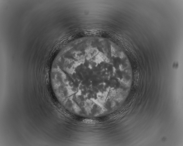 X0000097630699200803281100