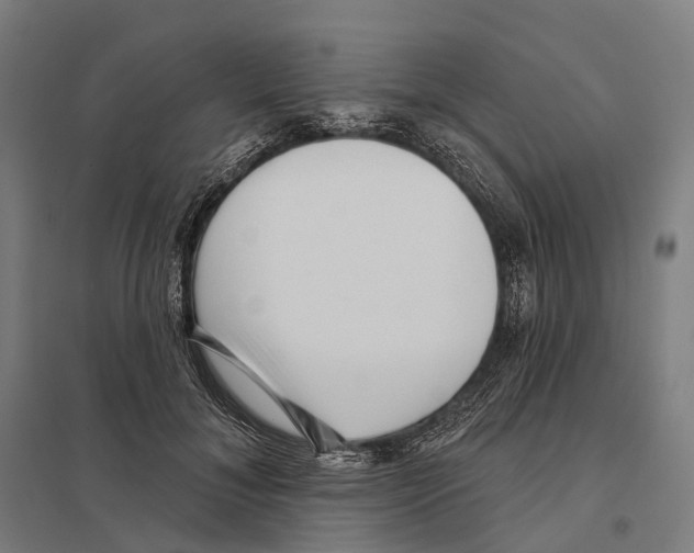 X0000097630700200803281100