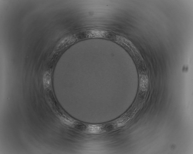 X0000097630701200803281100