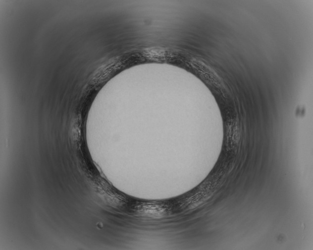 X0000097630702200803281100