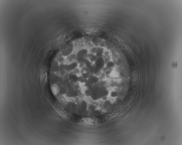 X0000097630703200803281100