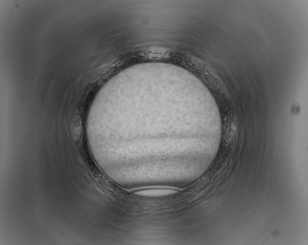 X0000097630704200803281100