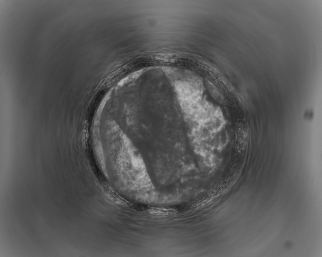 X0000097630707200803281100