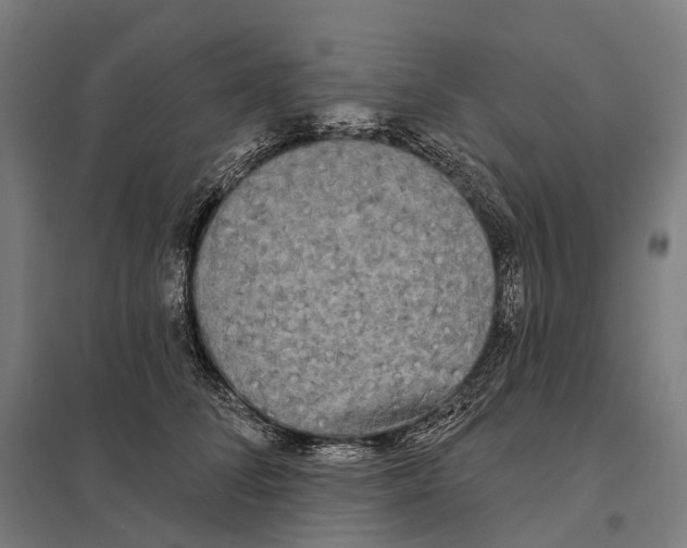 X0000097630708200803281100