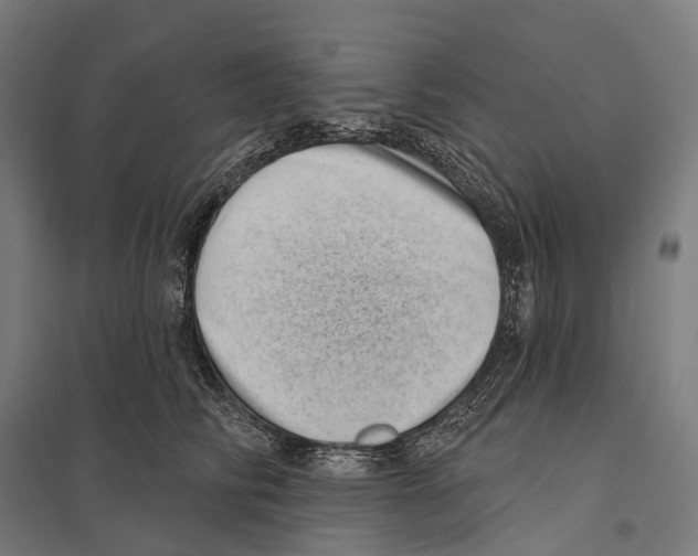 X0000097630710200803281100