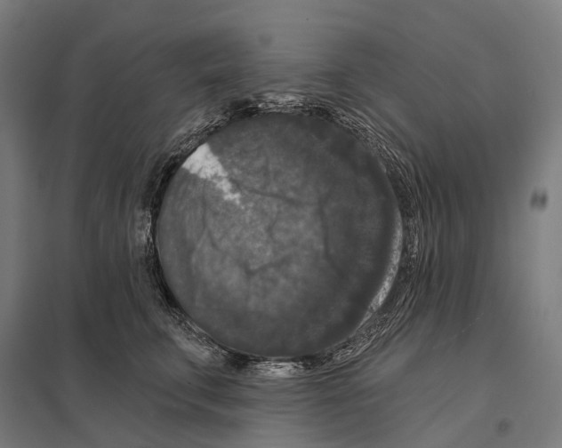 X0000097630711200803281100