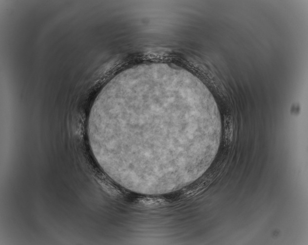 X0000097630712200803281100
