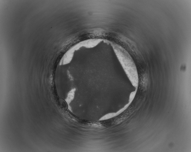 X0000097630715200803281100