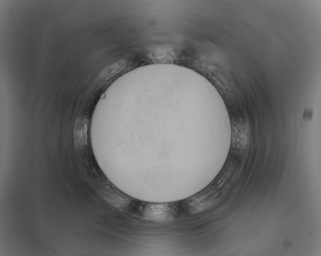X0000097630717200803281100