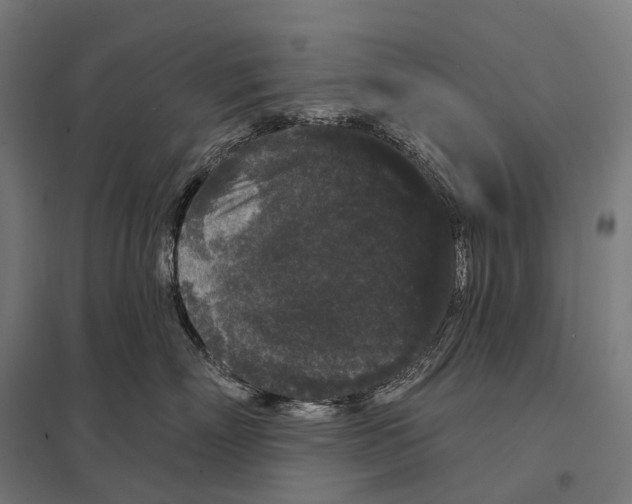 X0000097630718200803281100