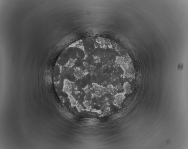 X0000097630719200803281100