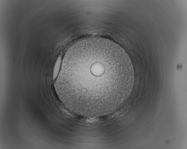X0000097630720200803281100