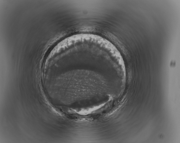 X0000097630721200803281059