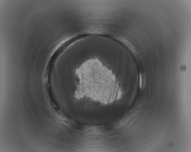 X0000097630723200803281059