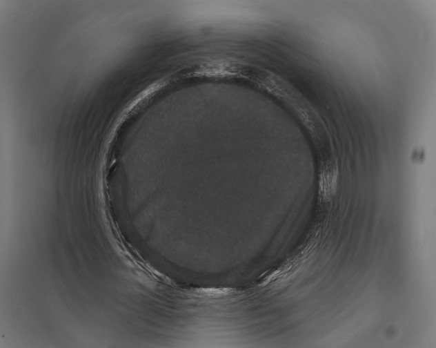 X0000097630724200803281059