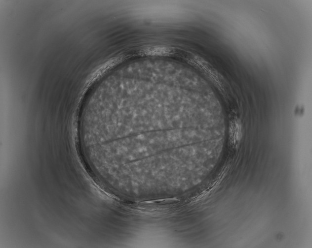 X0000097630725200803281059
