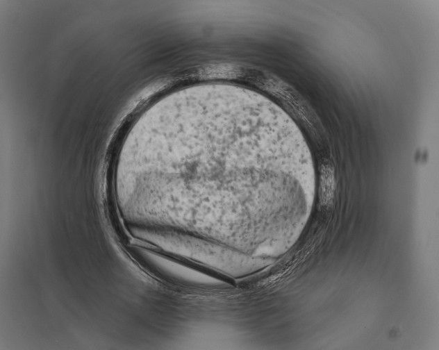 X0000097630726200803281059